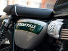 Triumph Bonneville T100Gold Line Edition